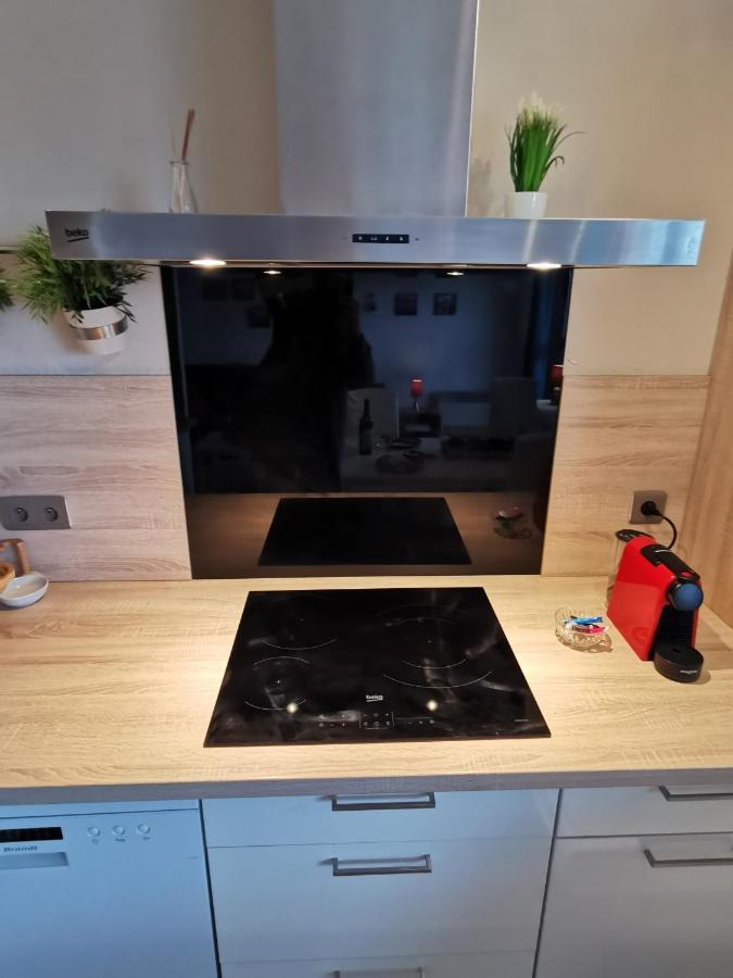 Le Duplex - Hyper Centre - Gare - Wifi - Netflix - Disney + Annecy Bagian luar foto