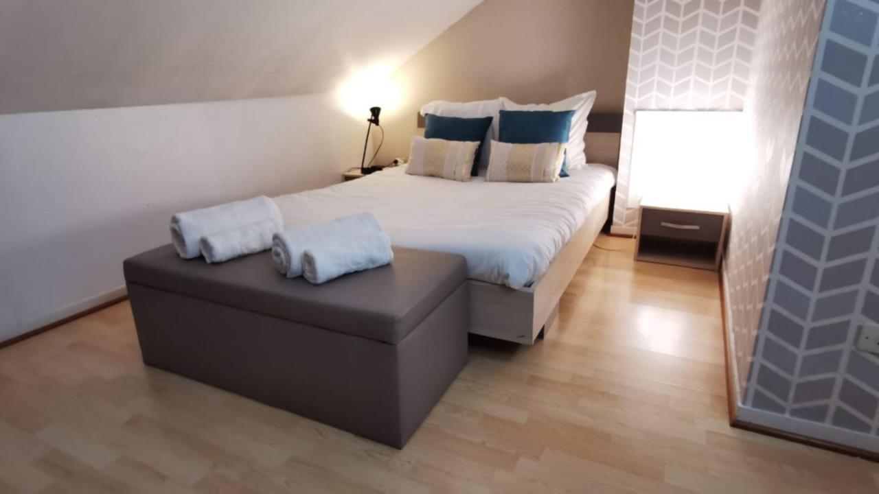 Le Duplex - Hyper Centre - Gare - Wifi - Netflix - Disney + Annecy Bagian luar foto